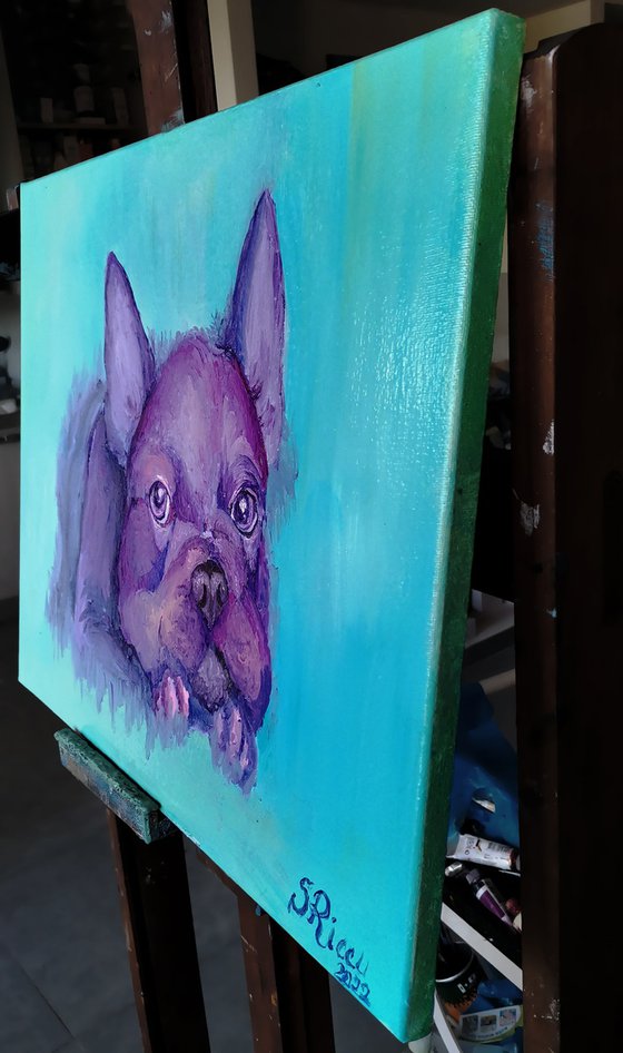 French bulldog. Sweet puppy portrait. 60x50 cm