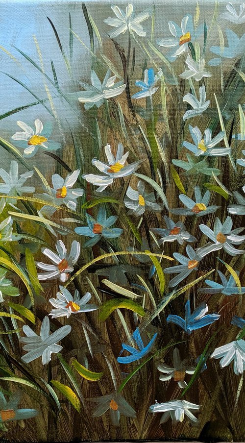 Daisies 2 by Elena Sokolova