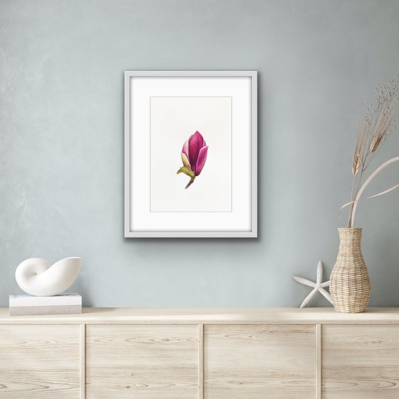 Magnolia blossom. A flower bud. Original watercolor artwork.