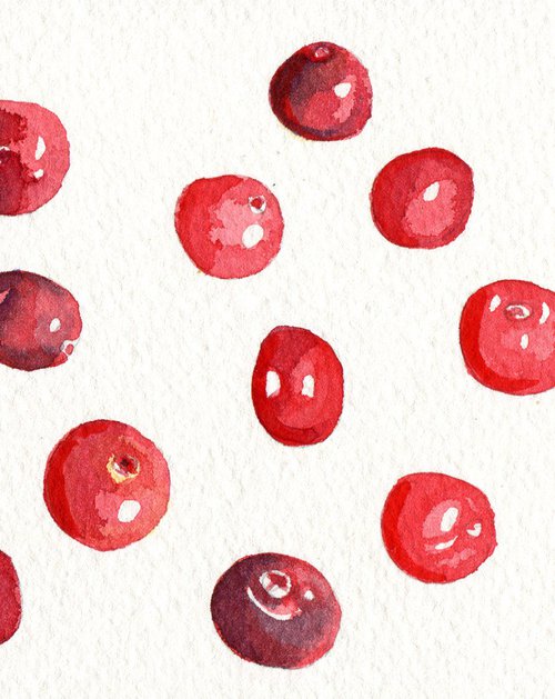 Cranberries study by Hannah Clark