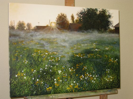 Morning Mist Over Meadow
