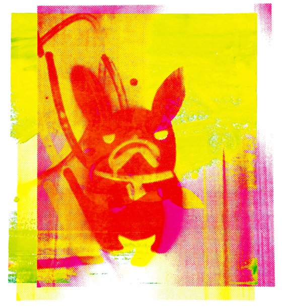 Ray (French Bulldog)