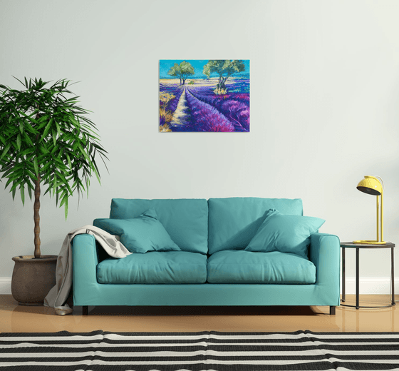Lavender fields