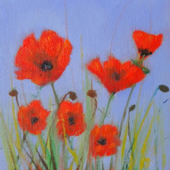Poppies in a Field with a Violet Sky