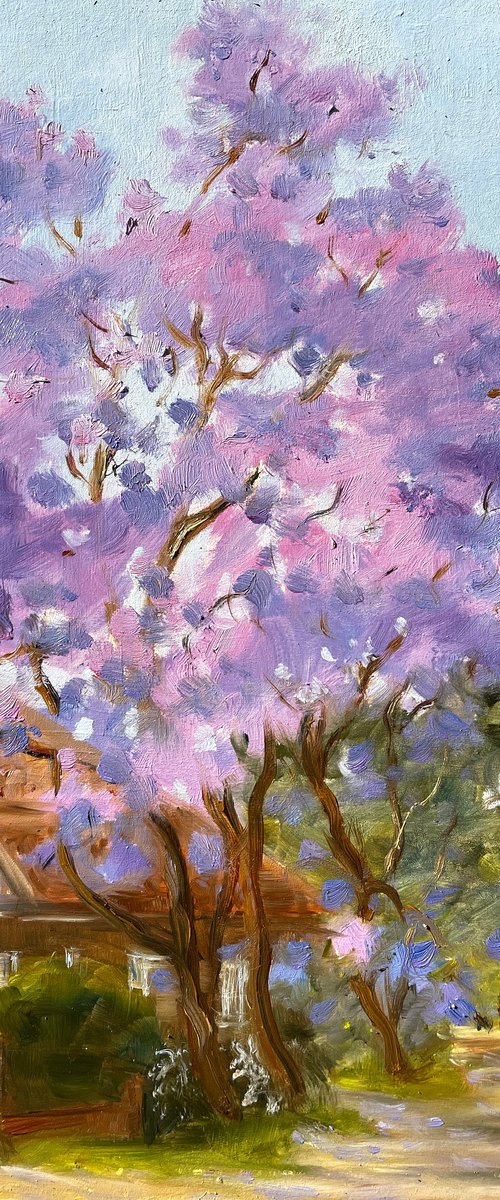 House with Jacaranda by Shelly Du