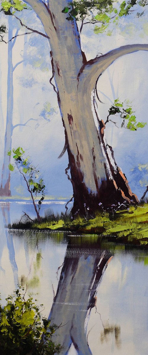 Australian river gum tree by Graham Gercken