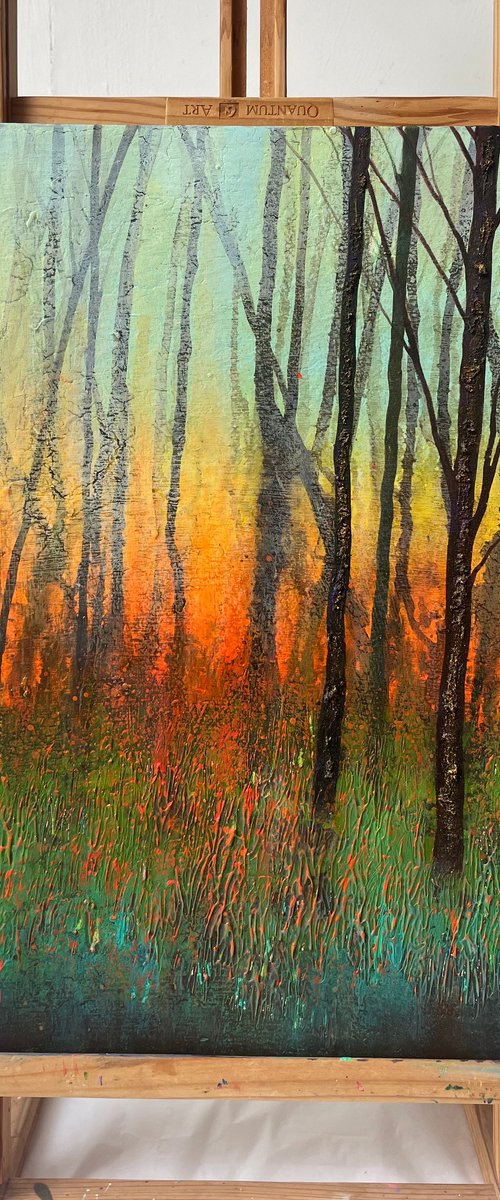 'Emberlight' by Jo Starkey