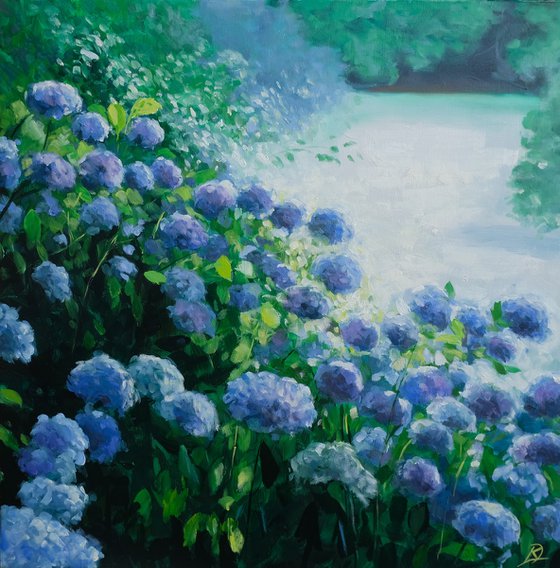 Looking through the hydrangeas