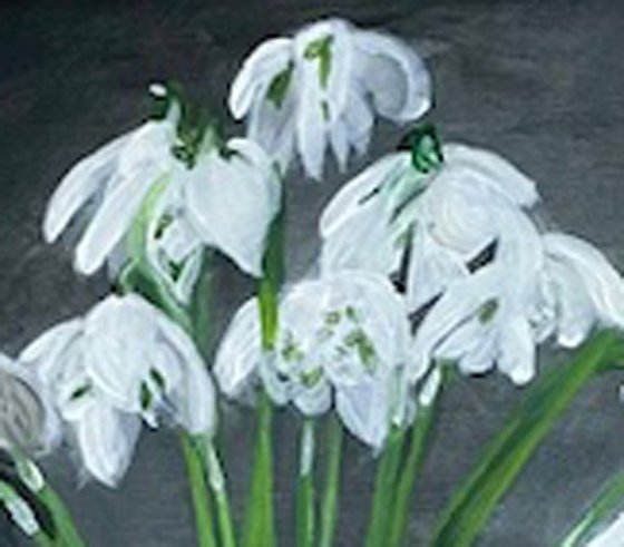 Snowdrop Study