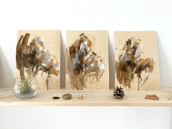 Renewal Series N°3
