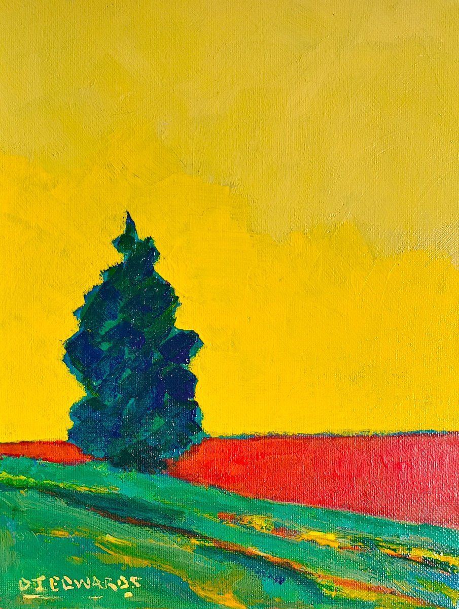 Yellow Sky and Red Field by David J Edwards