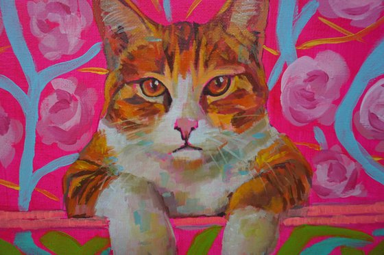 Colorful cats 2