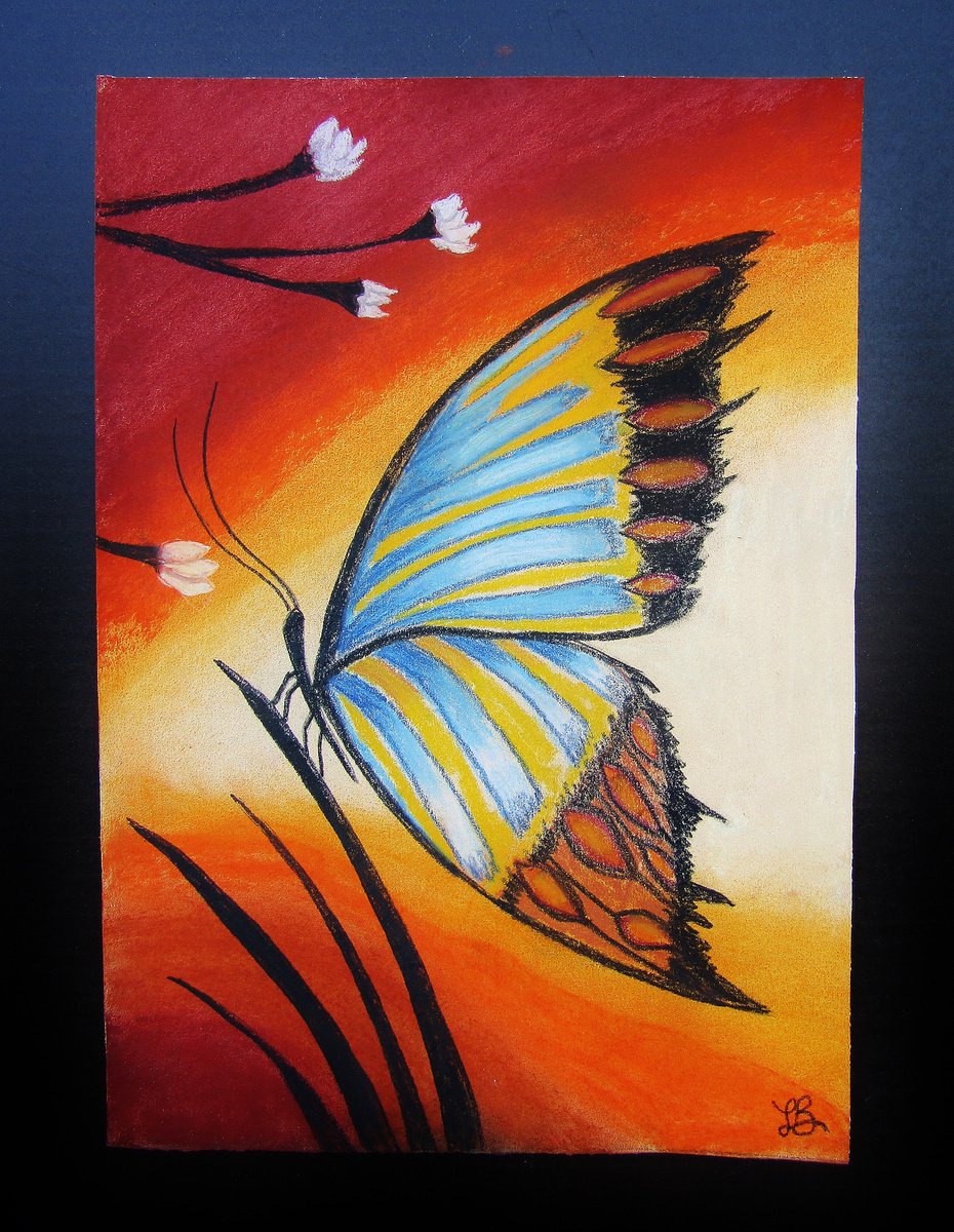 Butterfly on Orange by Linda Burnett