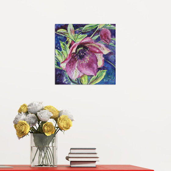 Hellebore Flower (framed)