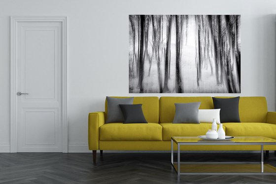 Into the Light - Large Black and White Abstract on Canvas