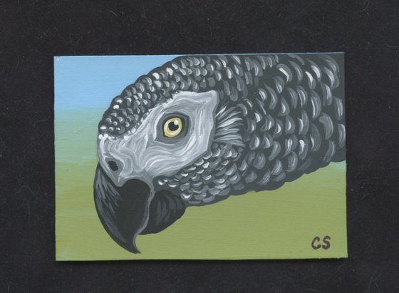 ACEO ATC Original Miniature Painting African Grey Parrot Pet Bird Art-Carla Smale