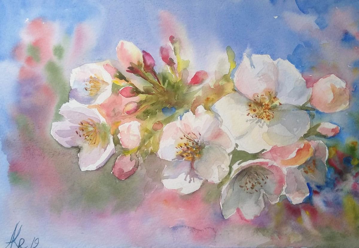 Cherry blossom by Ann Krasikova