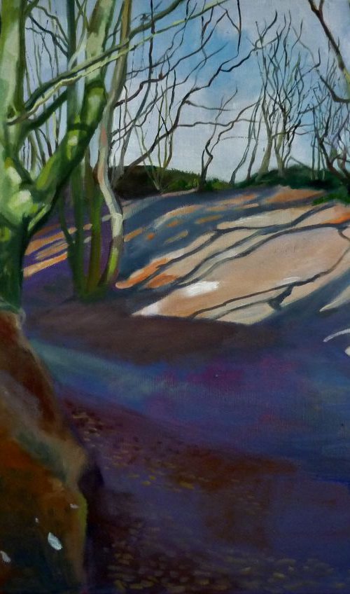 Violet Shadows on Mousehold Heath by Alison  Chaplin