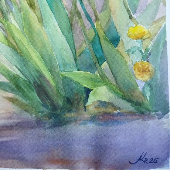 Charming irises