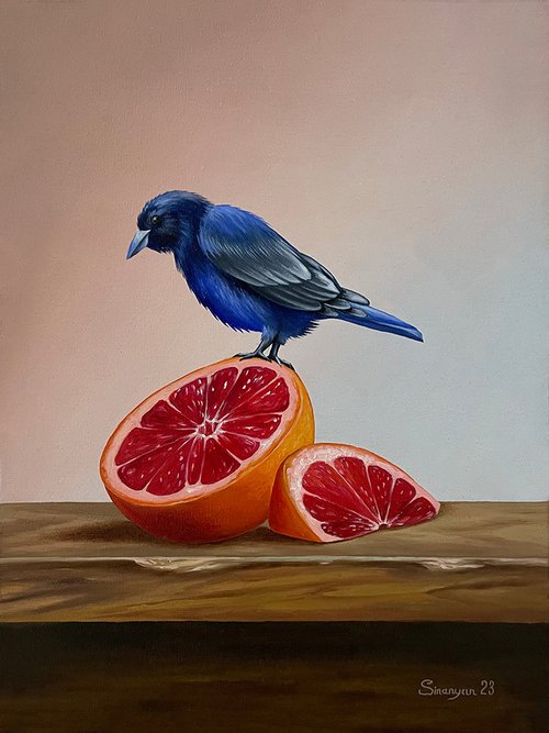 Still life with bird and grapefruit(30x40cm, oil painting, ready to hang) by Gevorg Sinanian