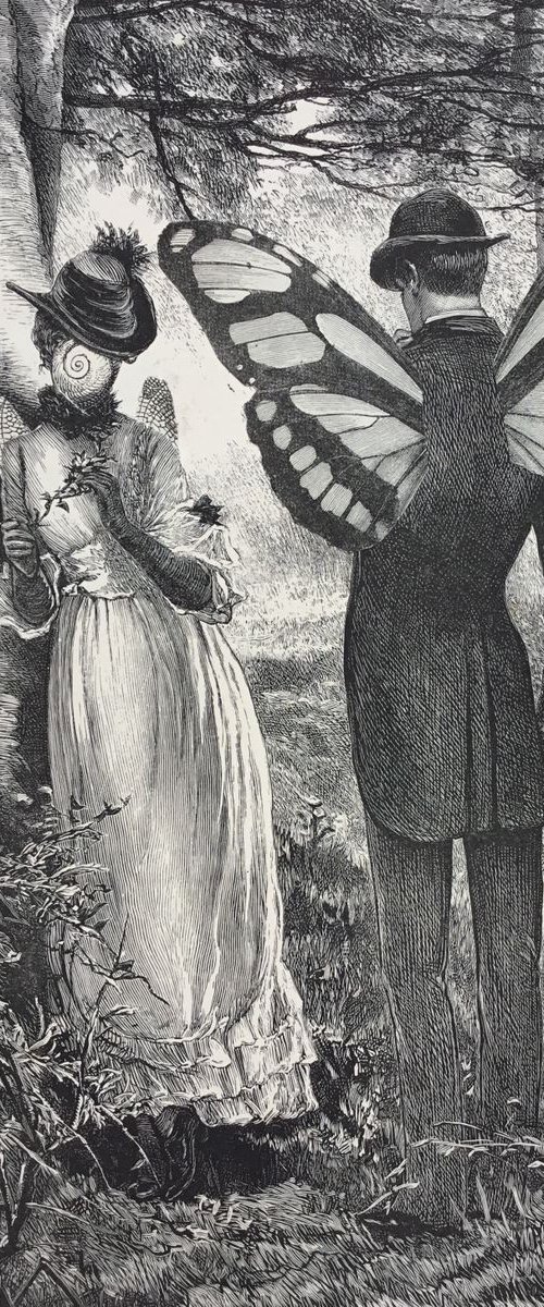 Woodland Meeting by Tudor Evans