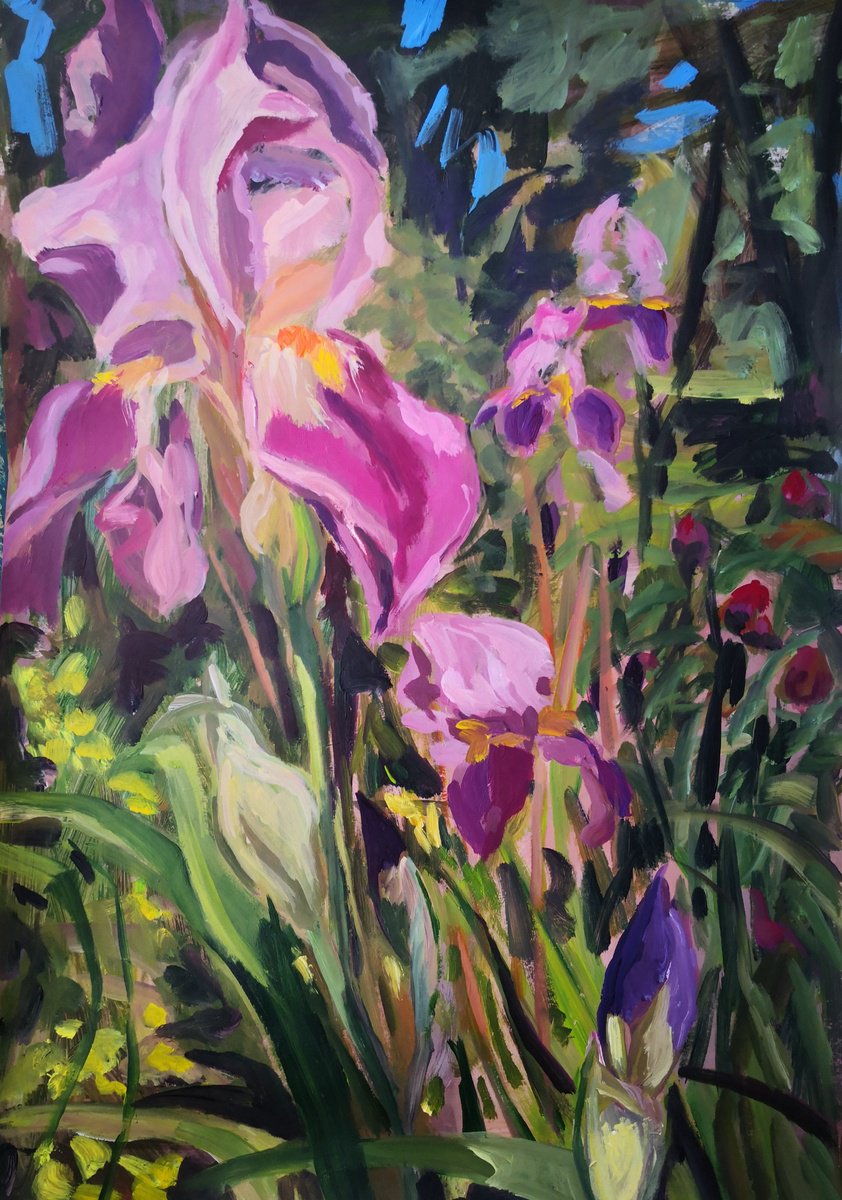 Expressive Botanical Acrylic Painting By Anyck Alvarez Kerloch, 17 X 24, Iris Field, Original Artwork