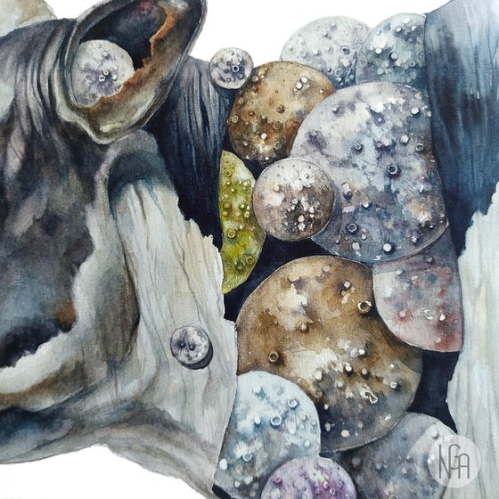 The Portrait of the Moolight