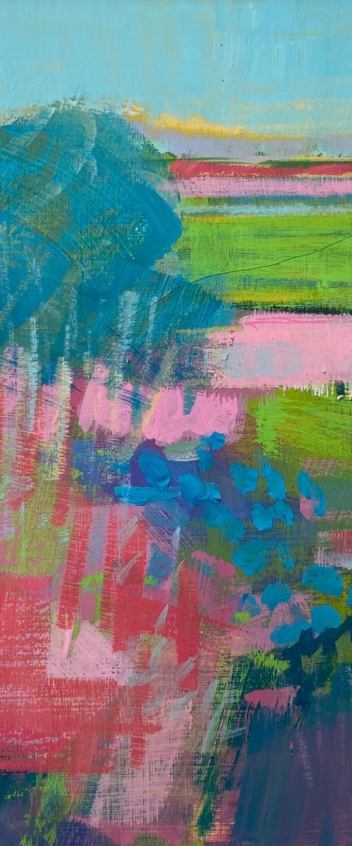 As The Crow Flies by Chrissie Havers