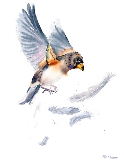 Bird and feather 3 ( 1 of 3) -  Original Watercolor Painting by Olga Shefranov (Tchefranov)