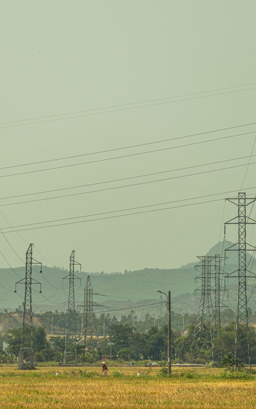 Pylons and Paddy Fields by Serge Horta