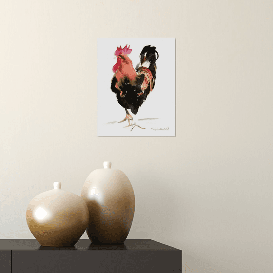 Rooster chicken