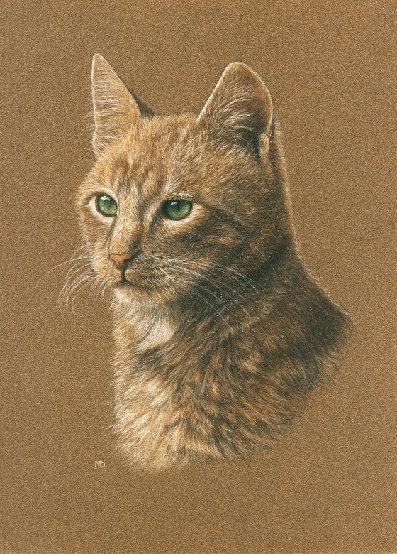 Original pastel drawing cat "Red"