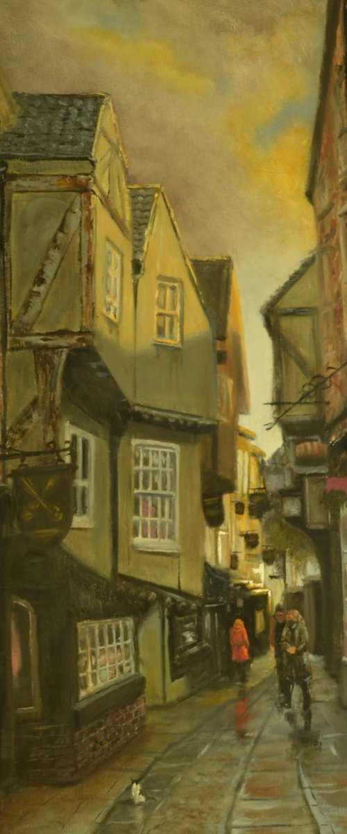 the shambles York by Peter Torley