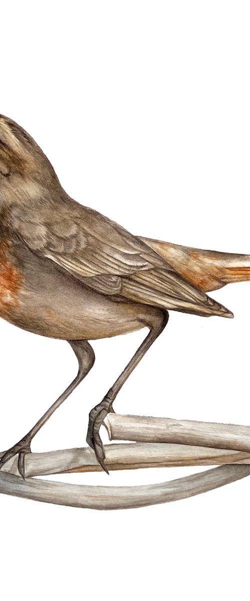 The Power of Intention by Anna Lyashenko