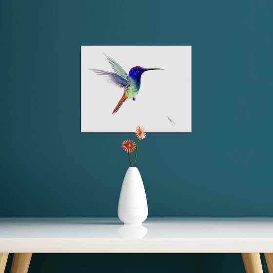 Hummingbird