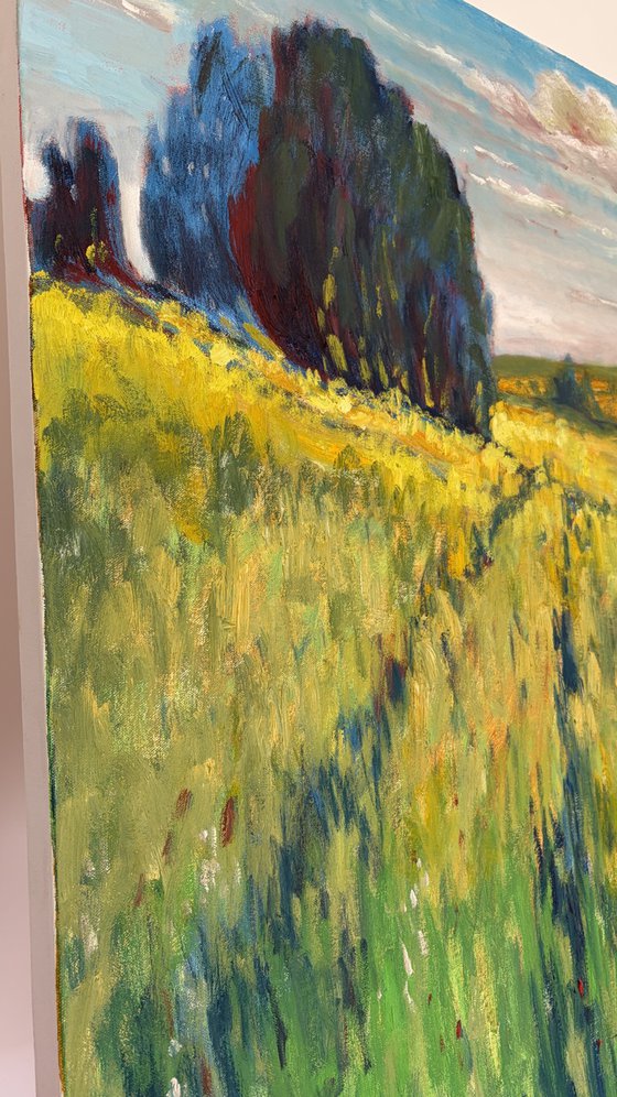 Over the field