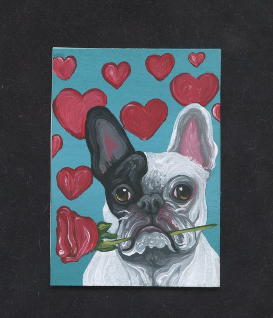 ACEO ATC Original Painting French Bulldog Valentine Pet Dog Art-Carla Smale