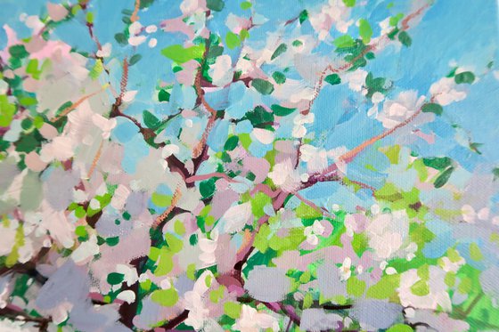 Spring Apple Orchard