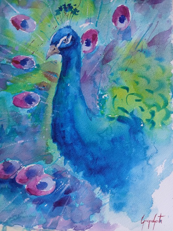 peacock