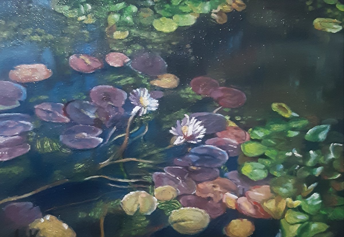 Waterlily by Viktoria Deri