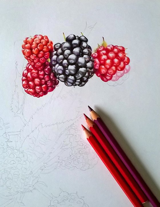 Ramoscello di more (Blackberry Twig)