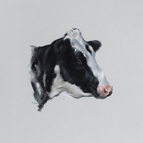 Cow Portrait by Matt Foy