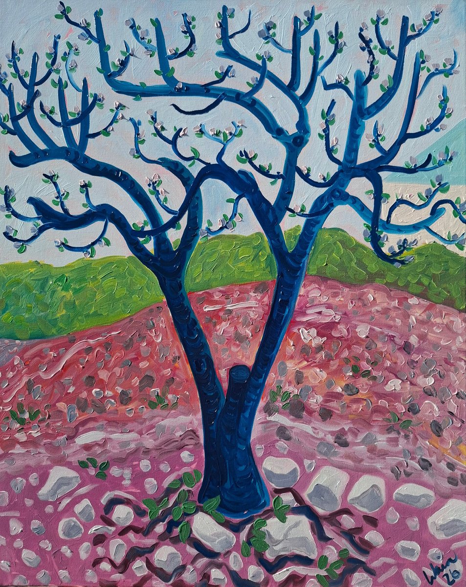 First Buds( Almond Blossom Series) By Kirsty Wain, 29 X 36, Artwork For Sale On Artfinder