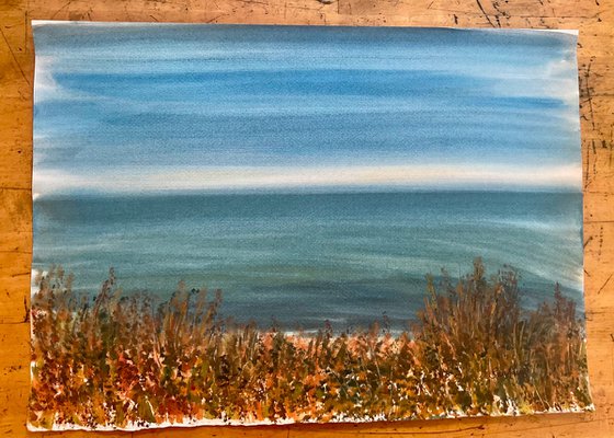 Durlston bay, Dorset