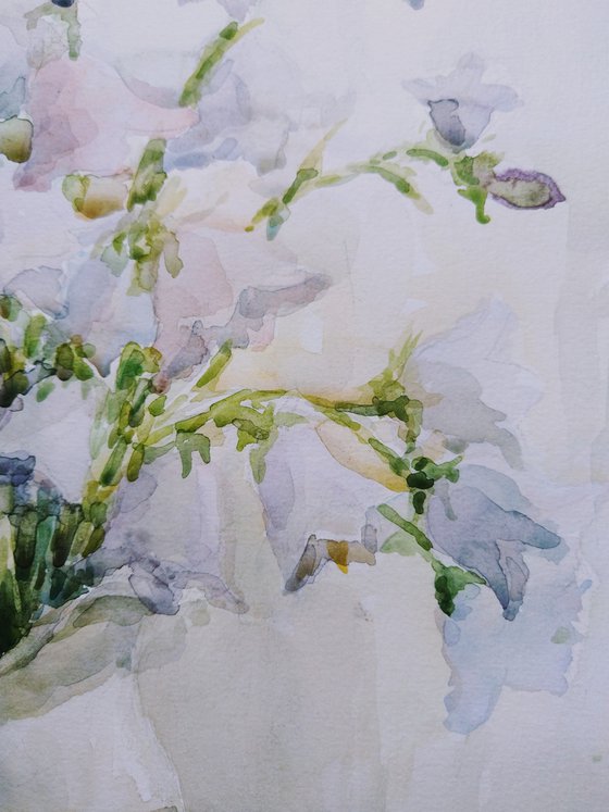 Bluebells flowers. Original watercolour painting.