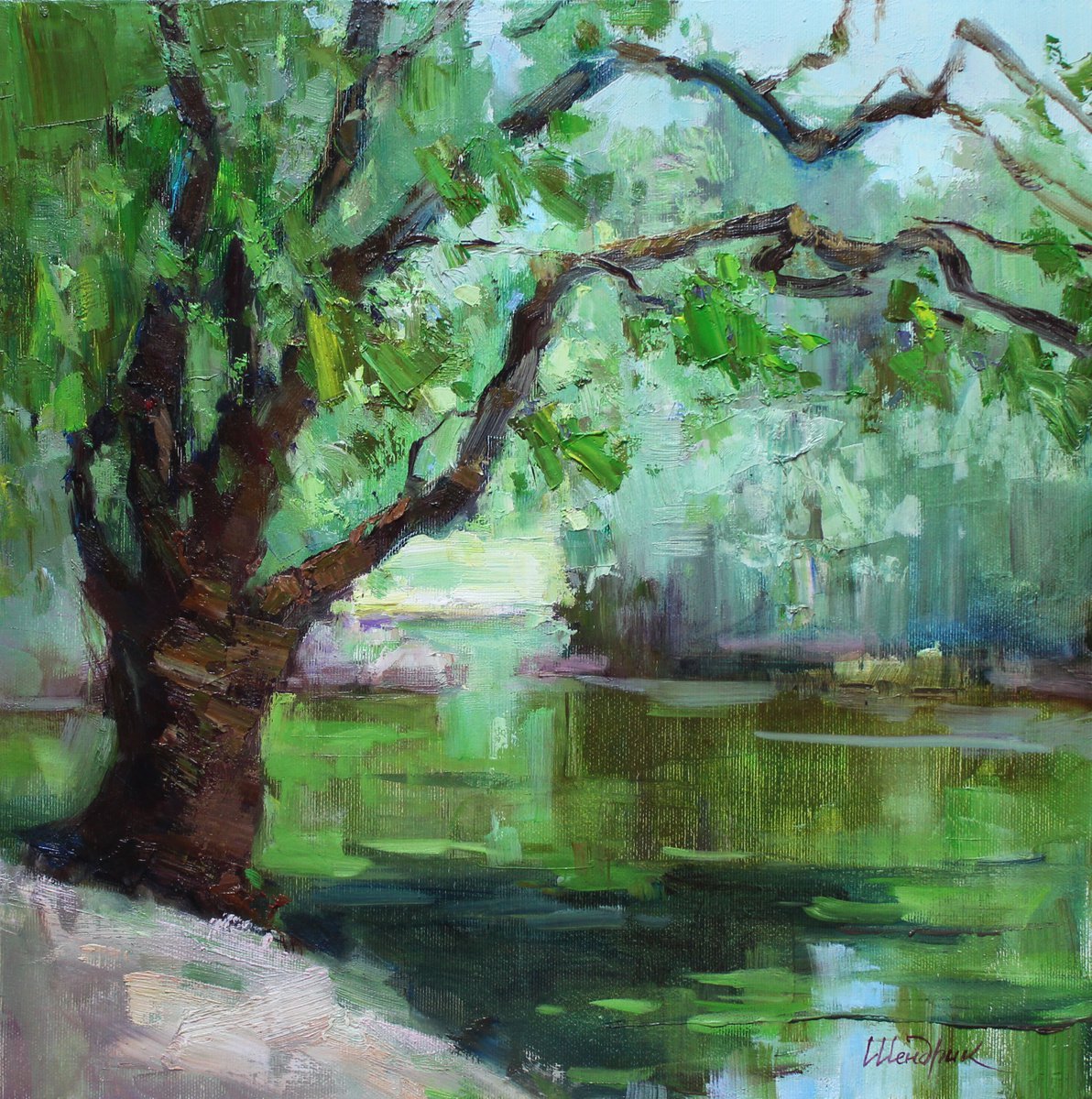 Impressionistic Landscape Oil Painting By Tetiana Shendryk, 16 X 16", Romantic Lake. Askania Nova, Original Artwork
