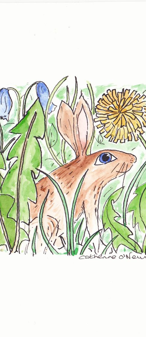 Blue eyed Rabbit by Catherine O’Neill