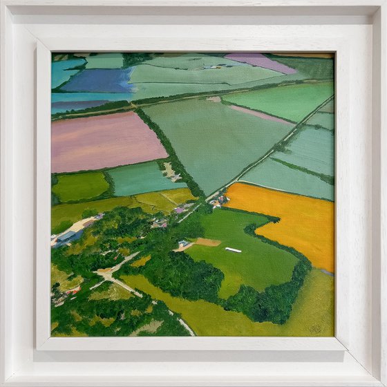 The Playing Fields - Rugby