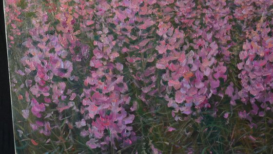 Sunset Over The Fireweed Field - summer painting landscape