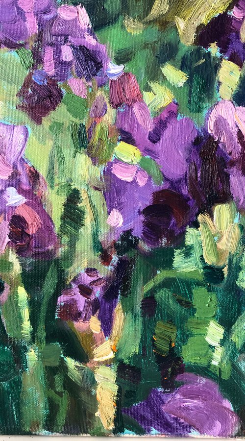 Violet irises by Nataliia Nosyk